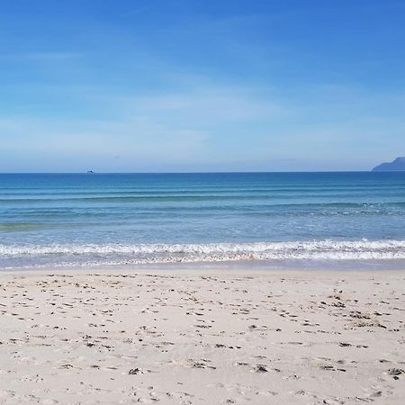Ideal Property Mallorca - Concha Port de Alcudia  Εξωτερικό φωτογραφία